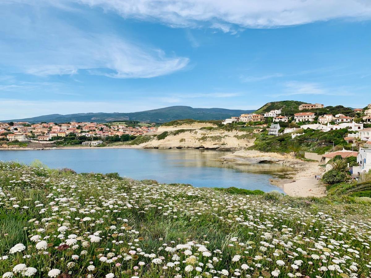 House Gallery Sardinia -Il Sogno- كوغليري المظهر الخارجي الصورة