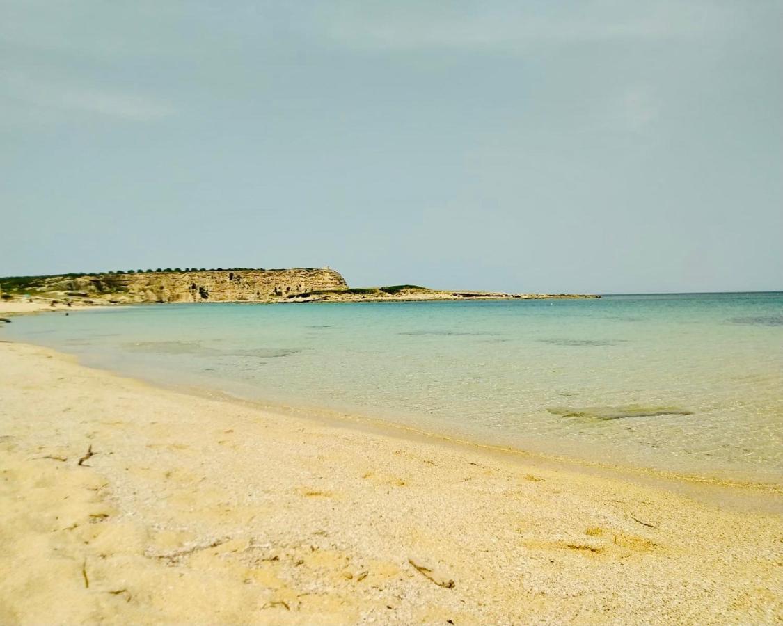 House Gallery Sardinia -Il Sogno- كوغليري المظهر الخارجي الصورة